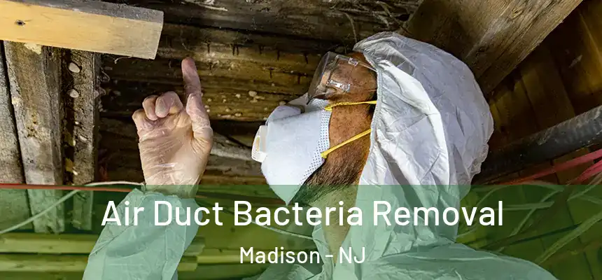  Air Duct Bacteria Removal Madison - NJ