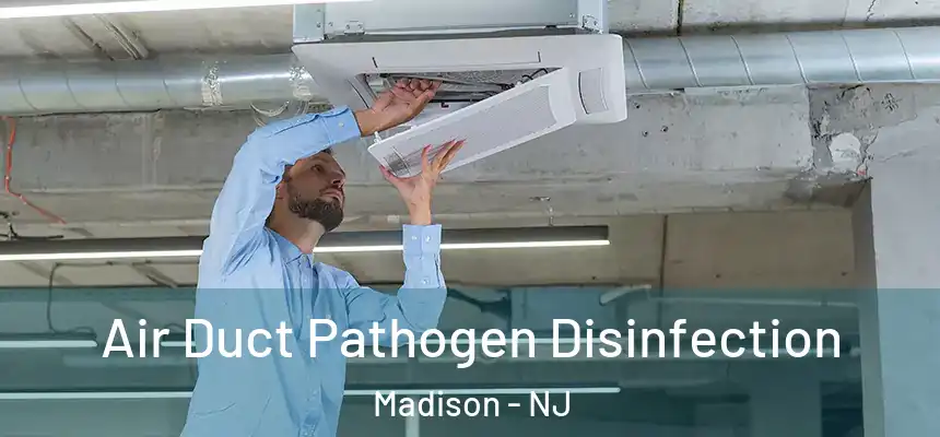 Air Duct Pathogen Disinfection Madison - NJ