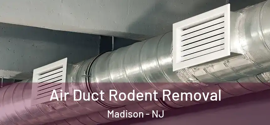  Air Duct Rodent Removal Madison - NJ