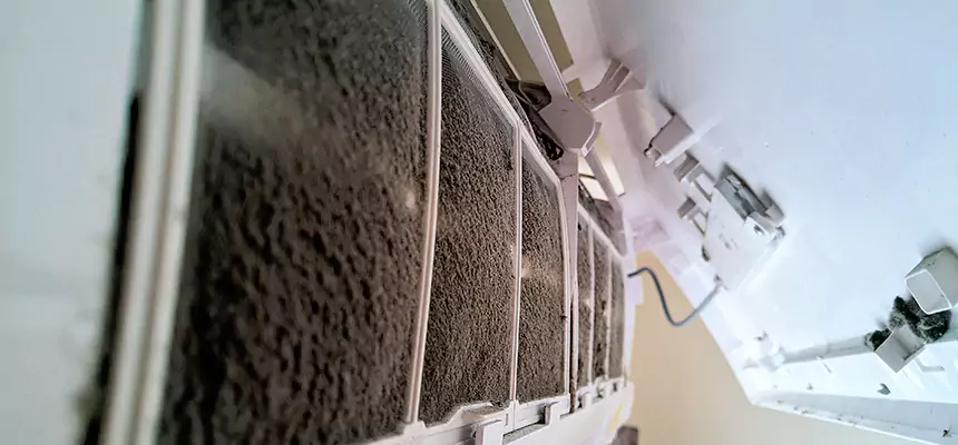 Preventive Air Duct Bacteria Removal in Madison