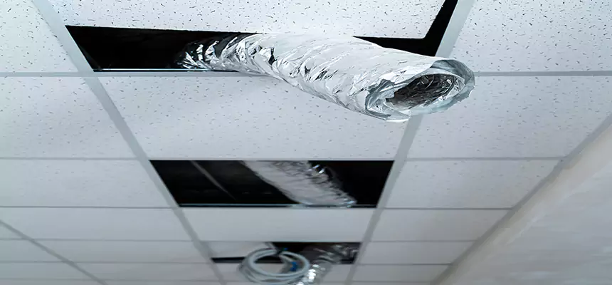 Our Air Duct Pet Hair Removal Services in Madison, NJ