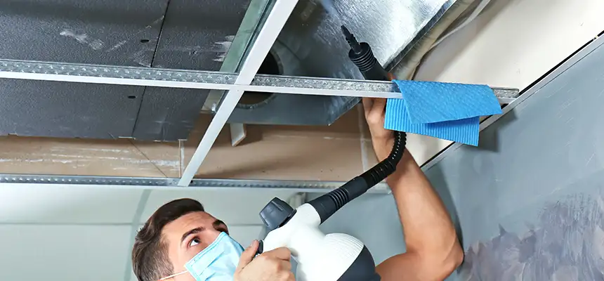 Our Air Duct Rodent Removal Services in Madison, NJ