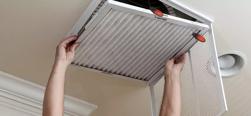 Our Insect Removal from Air Ducts Services in Madison, NJ