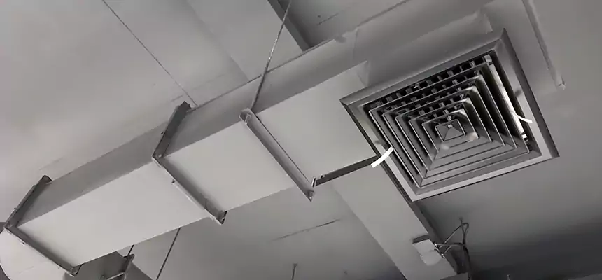 Our Pest Removal From Ducts Services in Madison, NJ