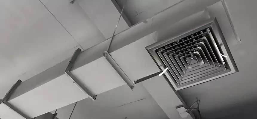 Our Rodent Droppings In Vents Services in Madison, NJ