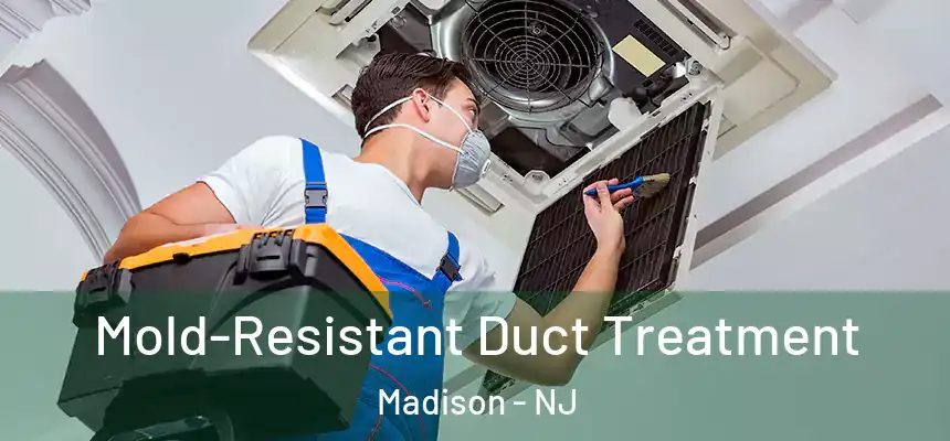  Mold-Resistant Duct Treatment Madison - NJ