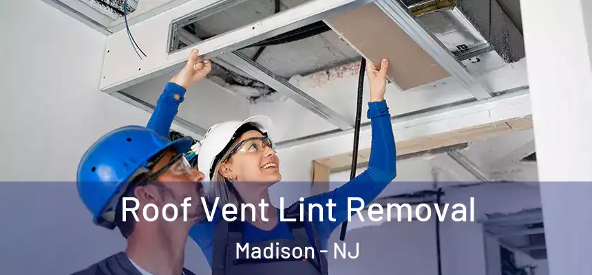  Roof Vent Lint Removal Madison - NJ
