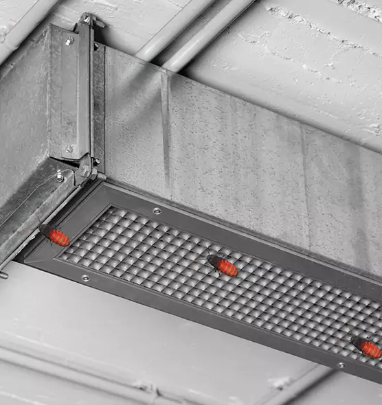 About Air Duct Cockroach Removal in Madison, NJ