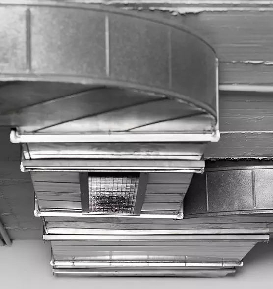 Professional Air Duct Pest Removal in Madison, NJ