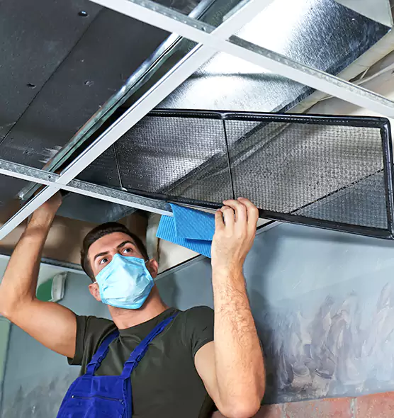 Professional Air Duct Pollen Cleaning in Madison, NJ