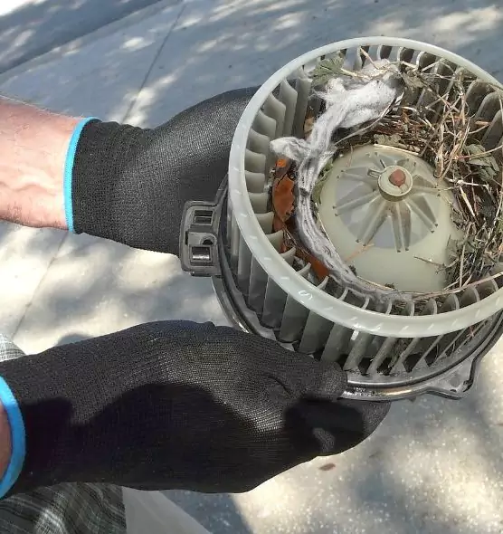 About Air Duct Rat Removal in Madison, NJ