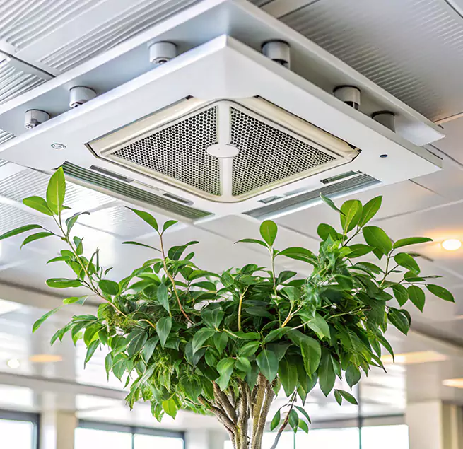 Why Homeowners & Businesses Trust Us in Madison, NJ