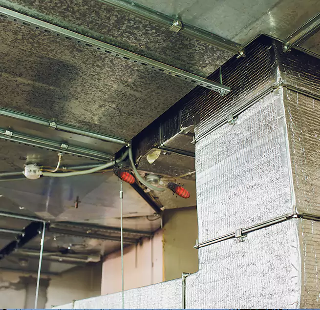 Why Homeowners & Businesses Trust Us Madison, NJ?