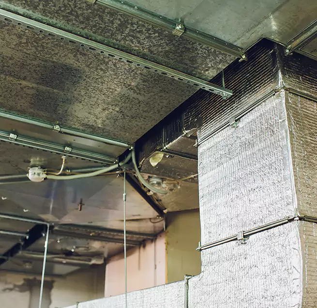 Why Homeowners & Businesses Trust Us in Madison, NJ?